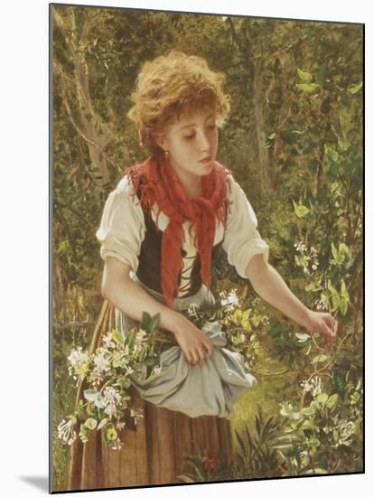 Picking Honeysuckle-Sophie Anderson-Mounted Giclee Print