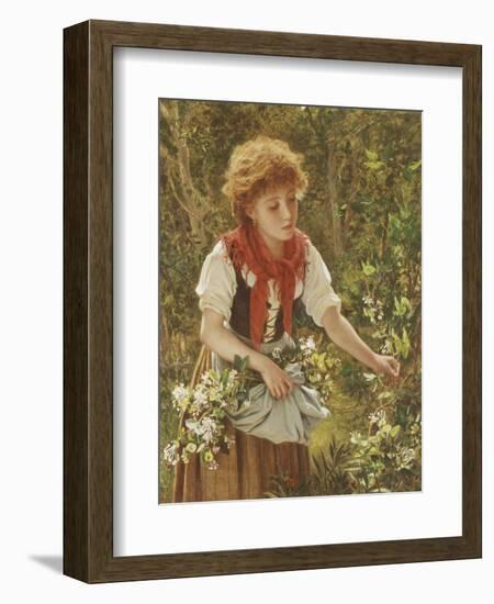 Picking Honeysuckle-Sophie Anderson-Framed Giclee Print