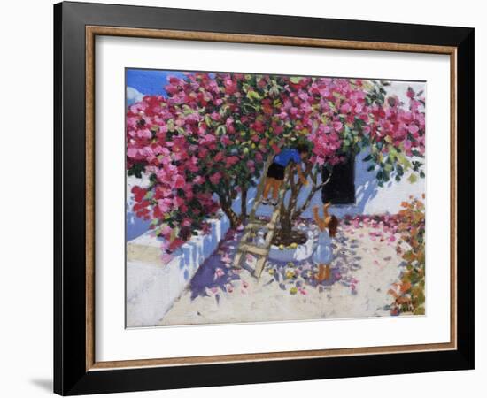 Picking lemons,Skiathos,Greece,2021,(oil on canvas)-Andrew Macara-Framed Giclee Print