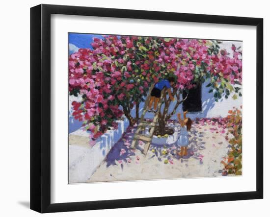 Picking lemons,Skiathos,Greece,2021,(oil on canvas)-Andrew Macara-Framed Giclee Print