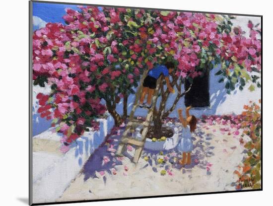 Picking lemons,Skiathos,Greece,2021,(oil on canvas)-Andrew Macara-Mounted Giclee Print