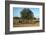 Picking olives in Tunisia. Artist: Unknown-Unknown-Framed Photographic Print