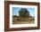 Picking olives in Tunisia. Artist: Unknown-Unknown-Framed Photographic Print