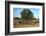 Picking olives in Tunisia. Artist: Unknown-Unknown-Framed Photographic Print