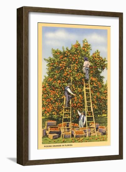 Picking Oranges in Florida-null-Framed Art Print