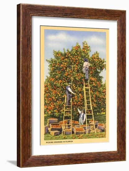 Picking Oranges in Florida-null-Framed Art Print