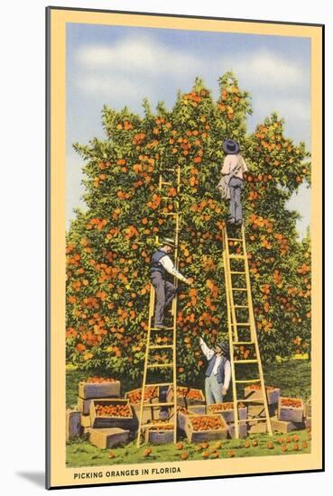 Picking Oranges in Florida-null-Mounted Art Print