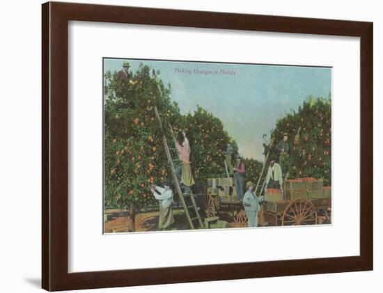 Picking Oranges in Florida-null-Framed Art Print