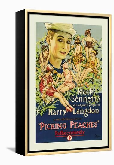 Picking Peaches-Mack Sennett-Framed Stretched Canvas