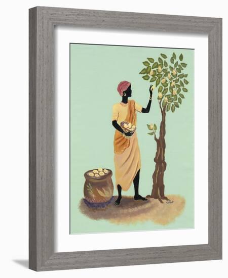 Picking Pears-Judy Mastrangelo-Framed Giclee Print