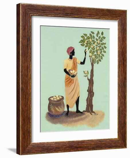 Picking Pears-Judy Mastrangelo-Framed Giclee Print