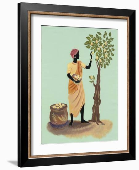 Picking Pears-Judy Mastrangelo-Framed Giclee Print