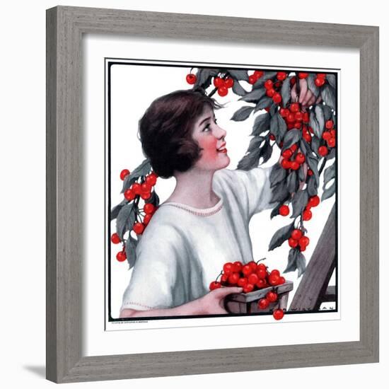 "Picking Pints of Cherries,"May 19, 1923-Katherine R. Wireman-Framed Giclee Print