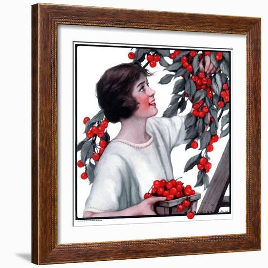 "Picking Pints of Cherries,"May 19, 1923-Katherine R. Wireman-Framed Giclee Print