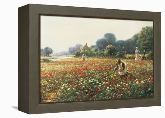 Picking Posies-William Kay Blacklock-Framed Premier Image Canvas