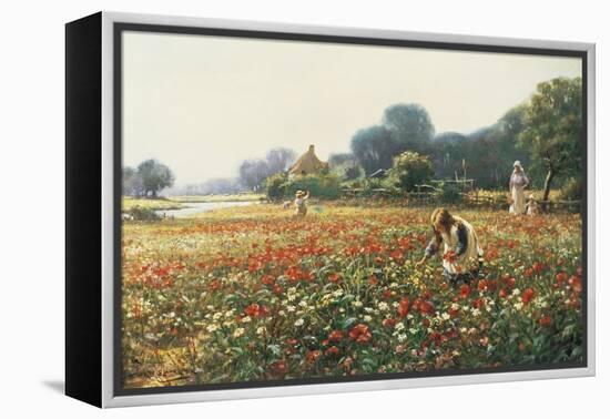 Picking Posies-William Kay Blacklock-Framed Premier Image Canvas