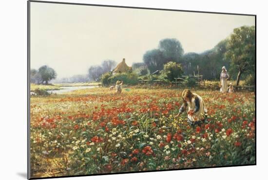 Picking Posies-William Kay Blacklock-Mounted Giclee Print