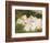 Picking Posies-William Blake Richmond-Framed Giclee Print