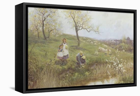 Picking Primroses-Thomas J. Lloyd-Framed Premier Image Canvas