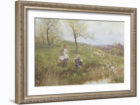 Picking Primroses-Thomas J. Lloyd-Framed Giclee Print