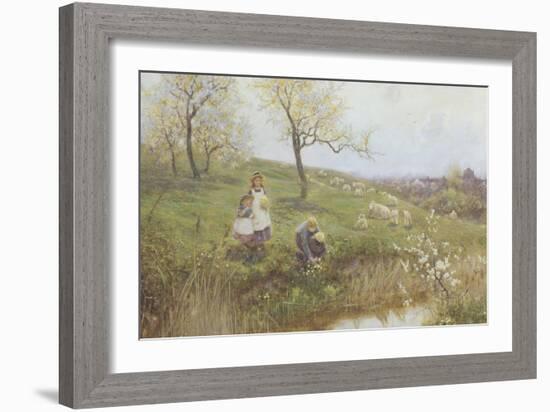 Picking Primroses-Thomas J. Lloyd-Framed Giclee Print