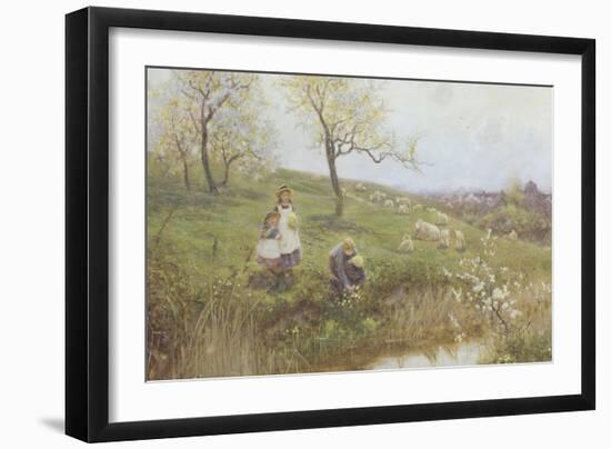 Picking Primroses-Thomas J. Lloyd-Framed Giclee Print