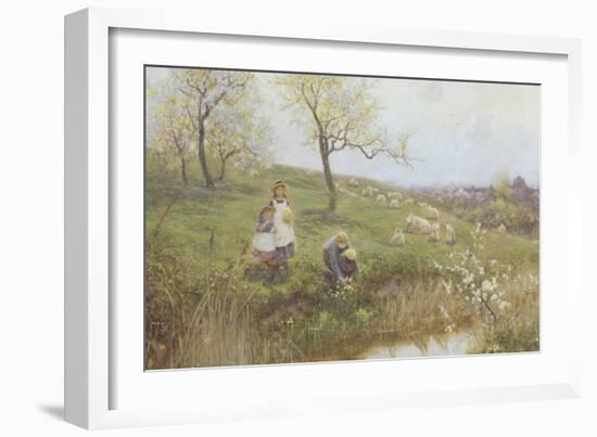 Picking Primroses-Thomas J. Lloyd-Framed Giclee Print