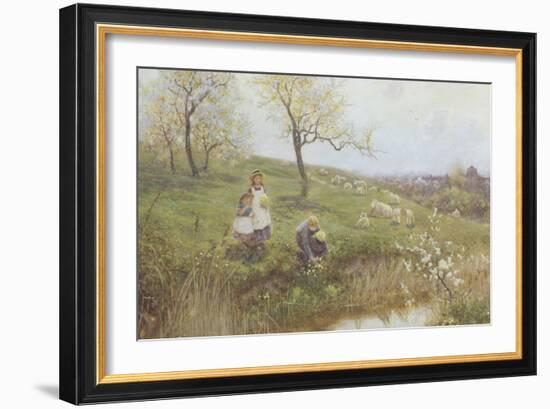 Picking Primroses-Thomas J. Lloyd-Framed Giclee Print