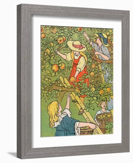 'Picking the Fruit', 1912-Charles Robinson-Framed Giclee Print