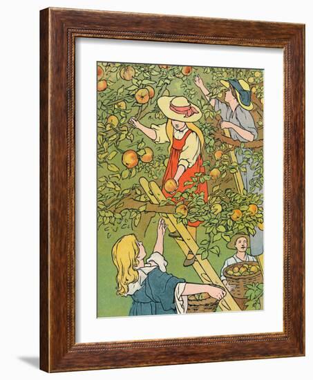 'Picking the Fruit', 1912-Charles Robinson-Framed Giclee Print