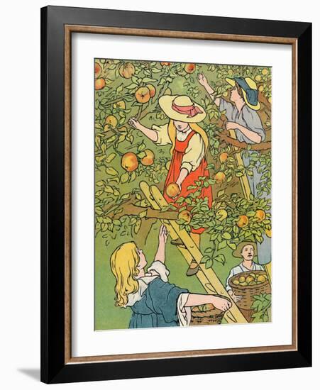 'Picking the Fruit', 1912-Charles Robinson-Framed Giclee Print