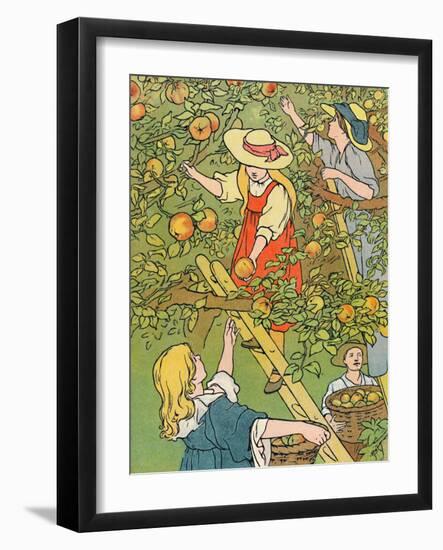 'Picking the Fruit', 1912-Charles Robinson-Framed Giclee Print