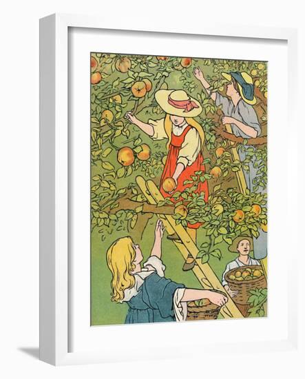 'Picking the Fruit', 1912-Charles Robinson-Framed Giclee Print