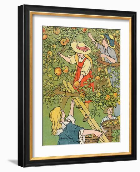 'Picking the Fruit', 1912-Charles Robinson-Framed Giclee Print