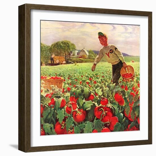 "Picking Tomatoes,"September 1, 1945-John Clymer-Framed Giclee Print