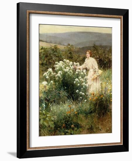 Picking Wild Flowers-Francis Coates Jones-Framed Giclee Print