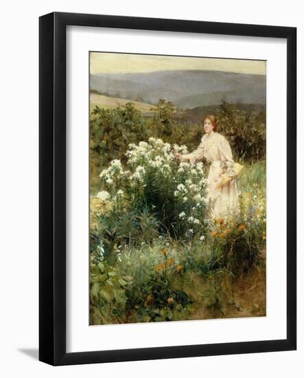 Picking Wild Flowers-Francis Coates Jones-Framed Giclee Print