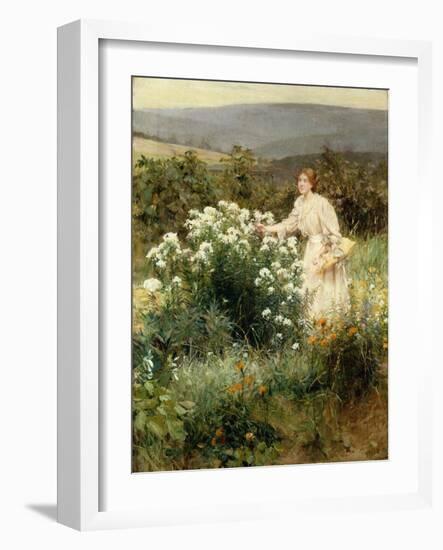 Picking Wild Flowers-Francis Coates Jones-Framed Giclee Print