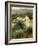 Picking Wild Flowers-Francis Coates Jones-Framed Giclee Print