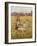 Picking Wild Flowers-William Affleck-Framed Giclee Print