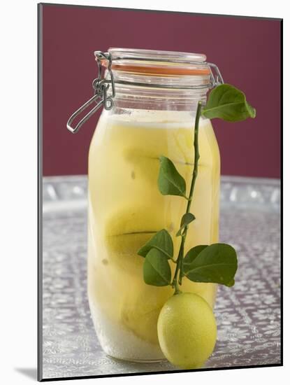 Pickled Lemons in Jar, Small Branch with Fresh Lemon-null-Mounted Photographic Print