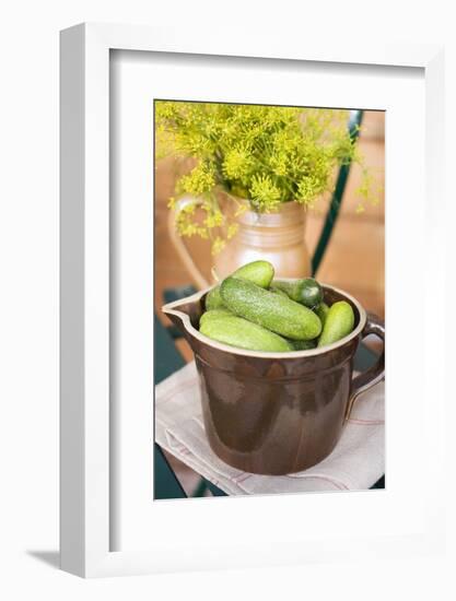Pickling Cucumbers and Fresh Dill in Jugs-Eising Studio - Food Photo and Video-Framed Photographic Print