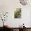 Pickling Cucumbers in Bowl, Fresh Dill Beside It-Foodcollection-Photographic Print displayed on a wall