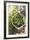 Pickling Cucumbers in Bowl, Fresh Dill Beside It-Foodcollection-Framed Photographic Print