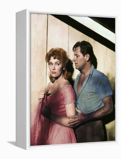 PICNIC, 1956 directed by JOSHUA LOGAN Kim Novak and William Holden (photo)-null-Framed Stretched Canvas