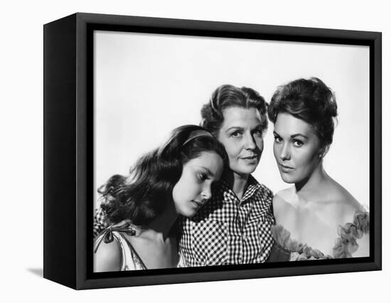 PICNIC, 1956 directed by JOSHUA LOGAN Susan Strasberg, Betty Field and Kim Novak (b/w photo)-null-Framed Stretched Canvas