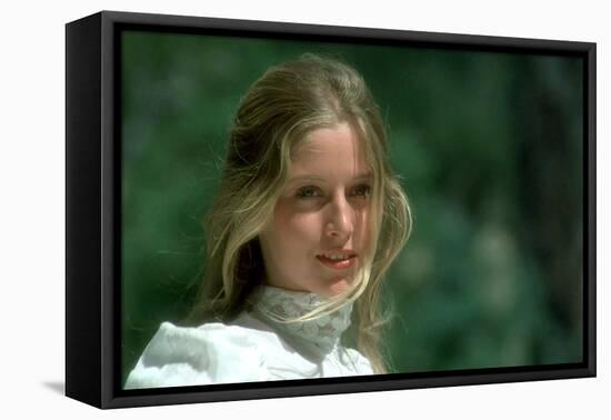 Picnic at Hanging Rock-null-Framed Stretched Canvas