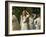 Picnic at Hanging Rock-null-Framed Photo