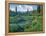 Picnic Creek in the Jewel Basin of the Swan Mountain Range, Montana, USA-Chuck Haney-Framed Premier Image Canvas