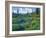 Picnic Creek in the Jewel Basin of the Swan Mountain Range, Montana, USA-Chuck Haney-Framed Photographic Print